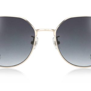 SG Rx-Exchangeable 025